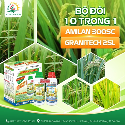 BỘ ĐÔI 10 TRONG 1
