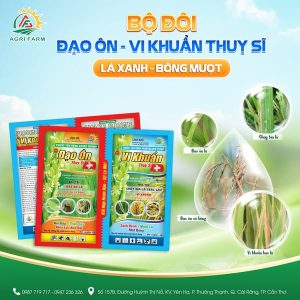 CẶP ĐẠO ÔN - VI KHUẨN THỤY SỸ