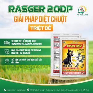 RASGER 20DP - Hiệu MÈO ĐEN