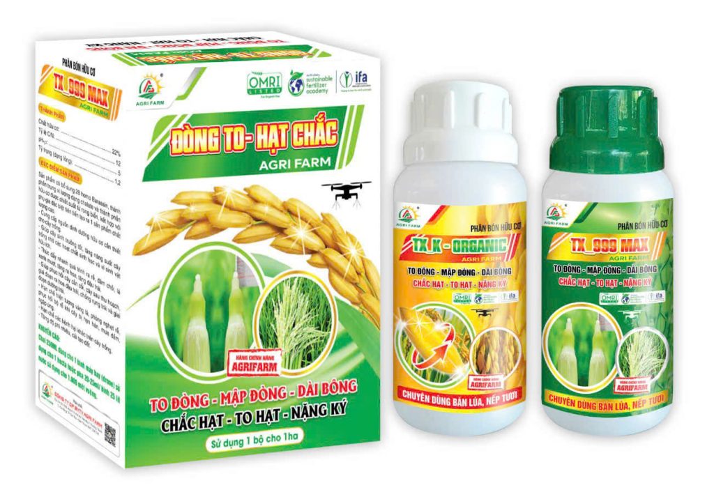 BỘ ĐÔI ĐÒNG TO-HẠT CHẮC
