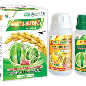 BỘ ĐÔI ĐÒNG TO-HẠT CHẮC