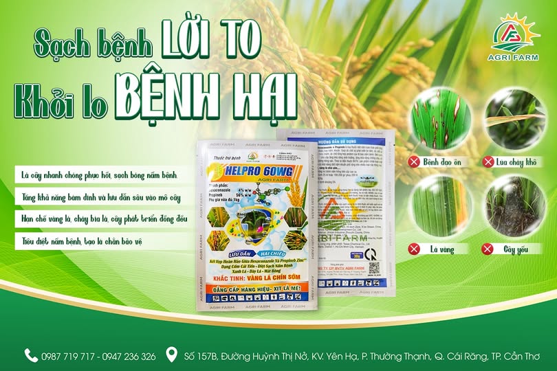 HELPRO 60WG – SẠCH BỆNH LỜI TO, KHỎI LO BỆNH HẠI