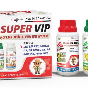 BỘ BA SUPER VIP