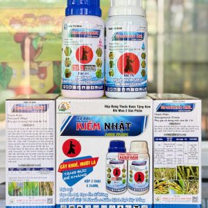 BỘ ĐÔI KIẾM NHẬT