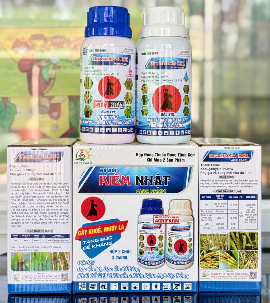 BỘ ĐÔI KIẾM NHẬT
