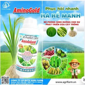 AT-PROTIFERT LMW - Hiệu AMINO GOLD