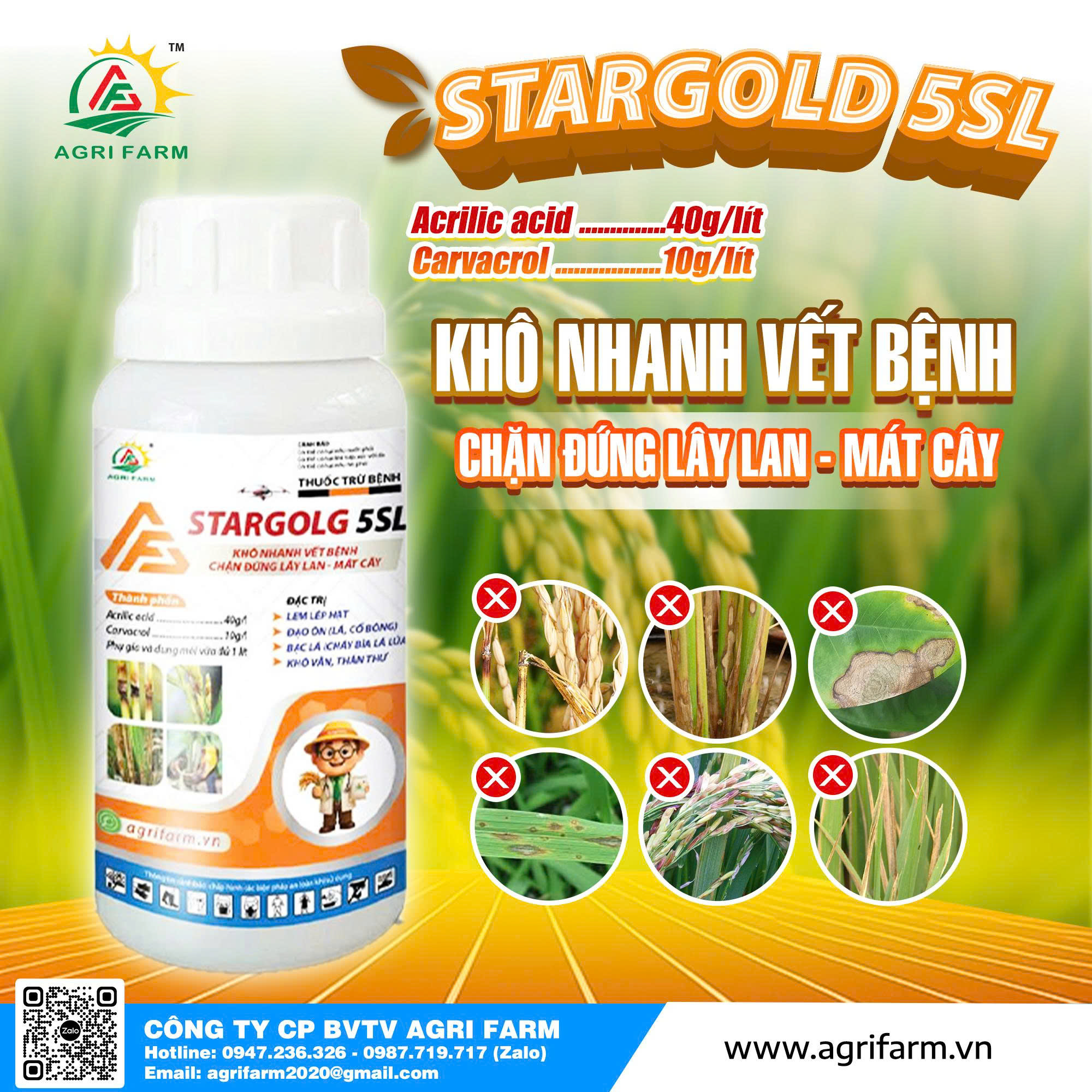 BỘ BA SUPER VIP - Ảnh 2