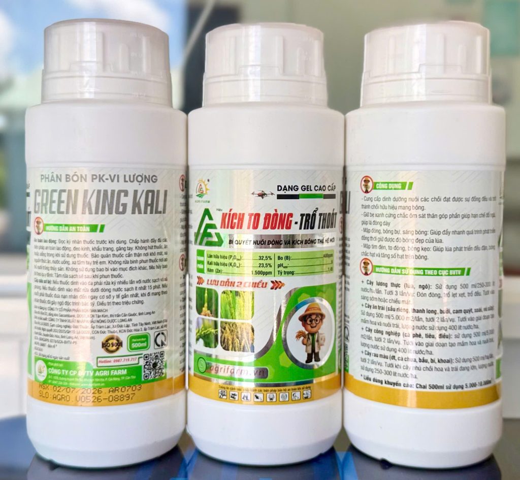 GREEN KING KALI hiệu KÍCH TO ĐÒNG - TRỔ THOÁT